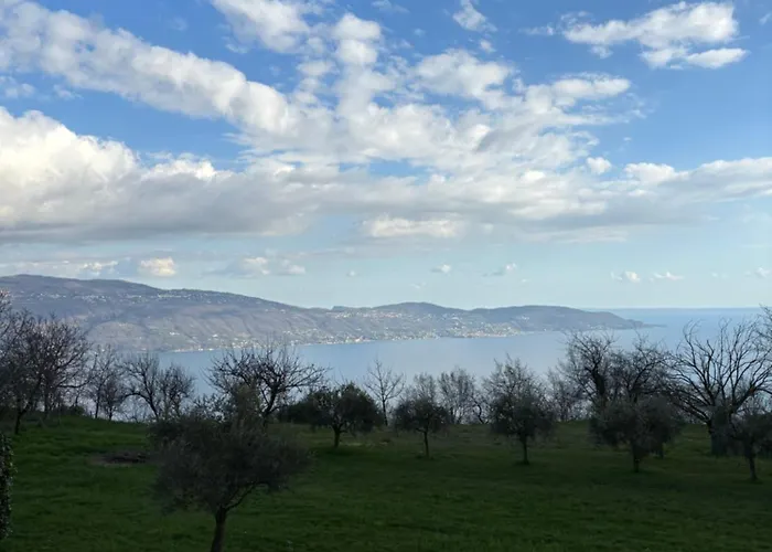 Garni Marika
